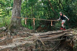 BIB: 
                            <button type="button" onclick="openModal(27801856)" class="btn btn-primary btn-sm float-right btn-popup" data-toggle="modal" data-target=".modal-high-quality">
                        <i class="fas fa-shopping-cart"></i> Add to Cart
                    </button>
                                            <button type="button" onclick="isThisMe(27801856, true)" class="btn btn-success btn-sm float-right btn-popup btn-isme hidden" data-toggle="tooltip" data-placement="bottom" title="นี่คือรูปของคุณใช่ไหม คลิกที่นี่เพื่อเอาเข้าอัลบั้ม">
                        <i class="fas fa-plus"></i> Add to album
                    </button>
                    <button type="button" onclick="isThisMe(27801856, false)" class="btn btn-warning btn-sm float-right btn-popup btn-isnotme hidden">
                        <i class="fas fa-ban"></i> Remove from album
                    </button>